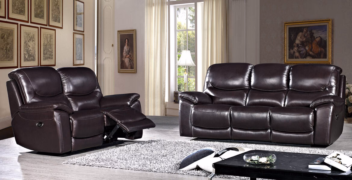 ¿Pueden los ácaros vivir en el cuero?