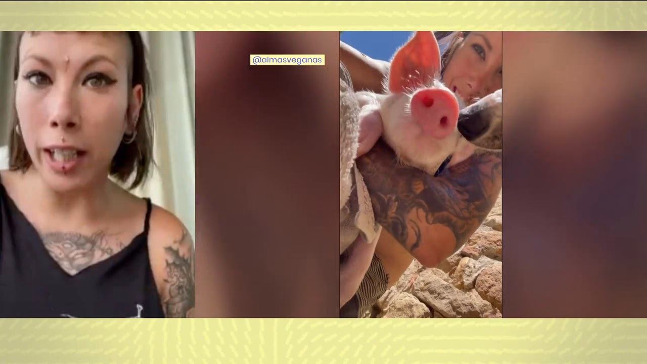 ¿Qué es el activismo vegano?