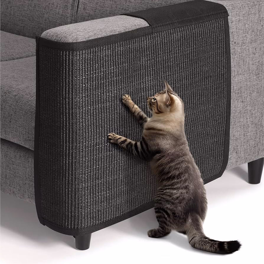 ¿Qué puedo poner en los sillones para evitar que los gatos rasguñen?