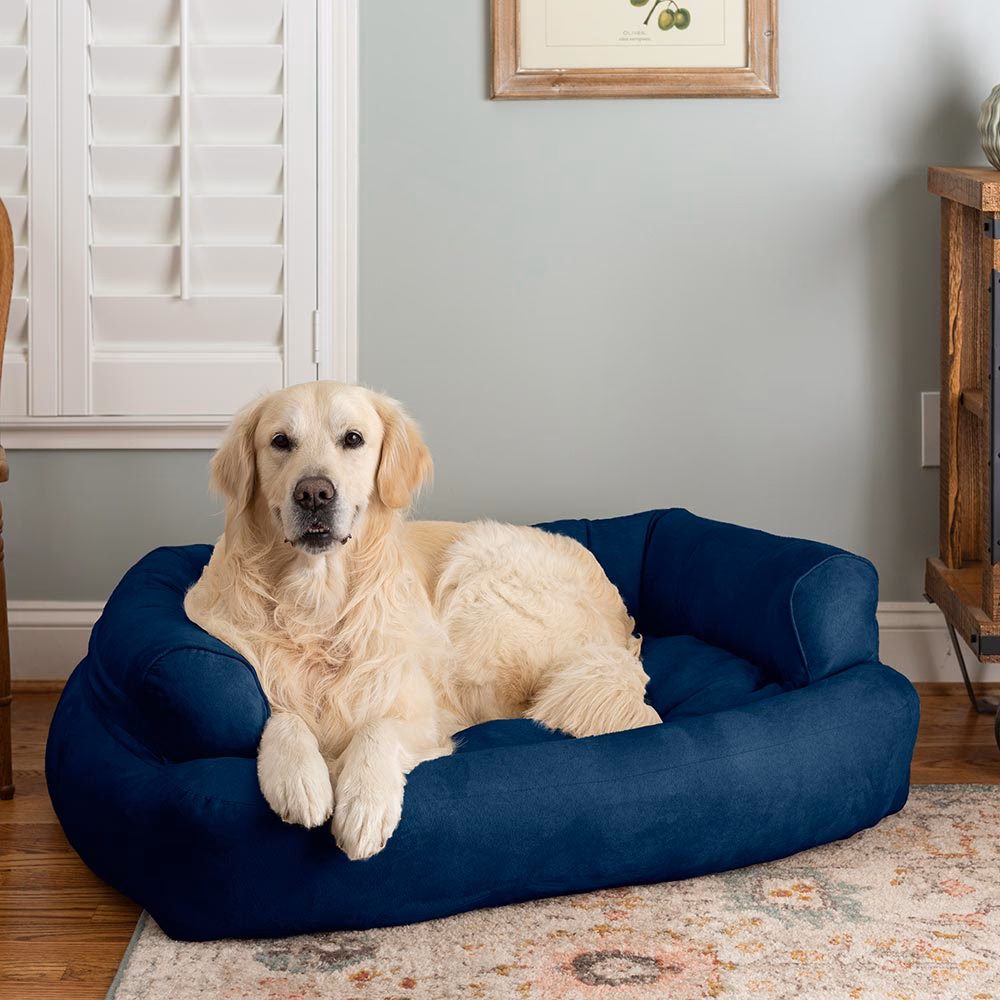 Is leather or fabric couch better for dogs?