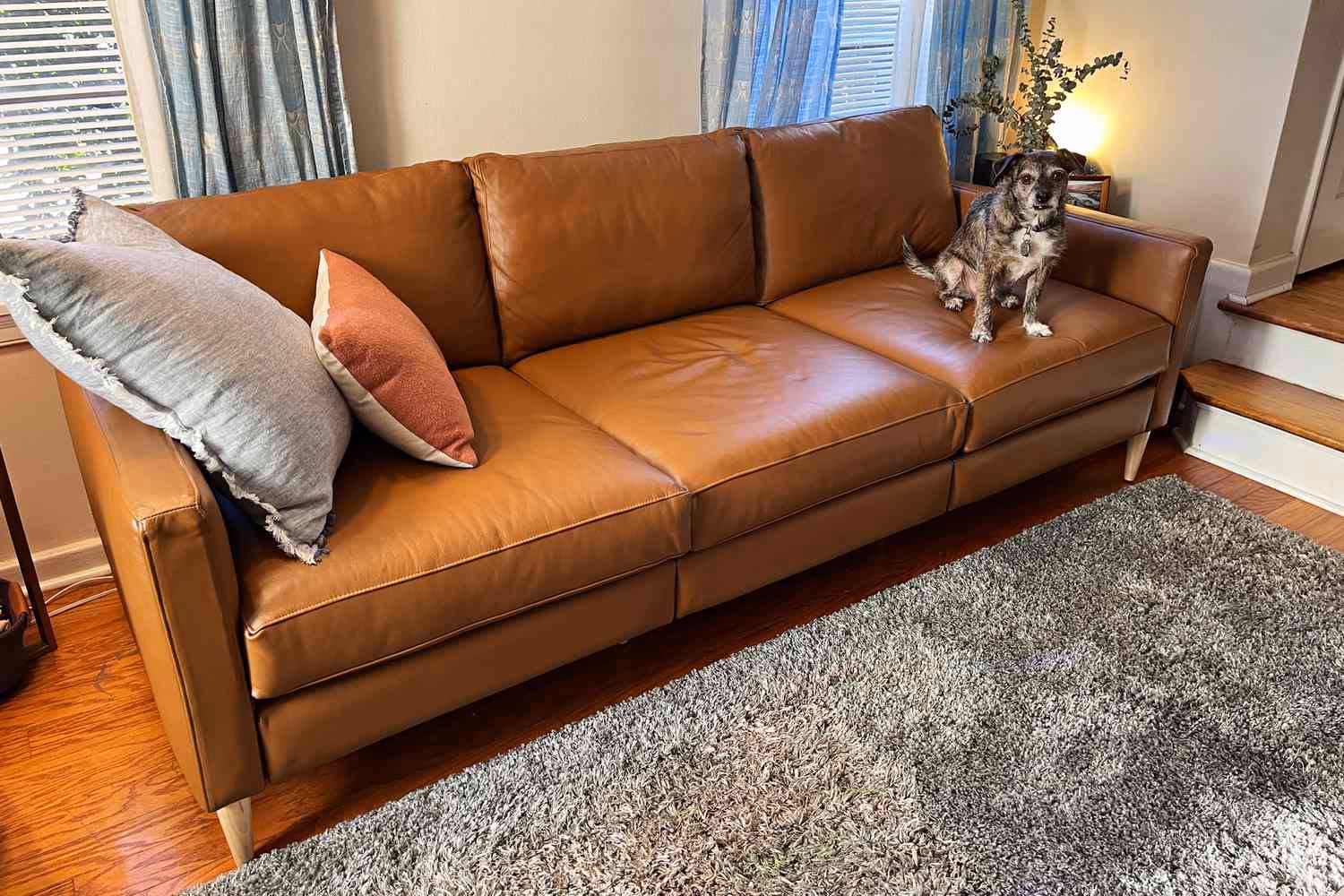 How can you tell if a leather sofa is good quality?