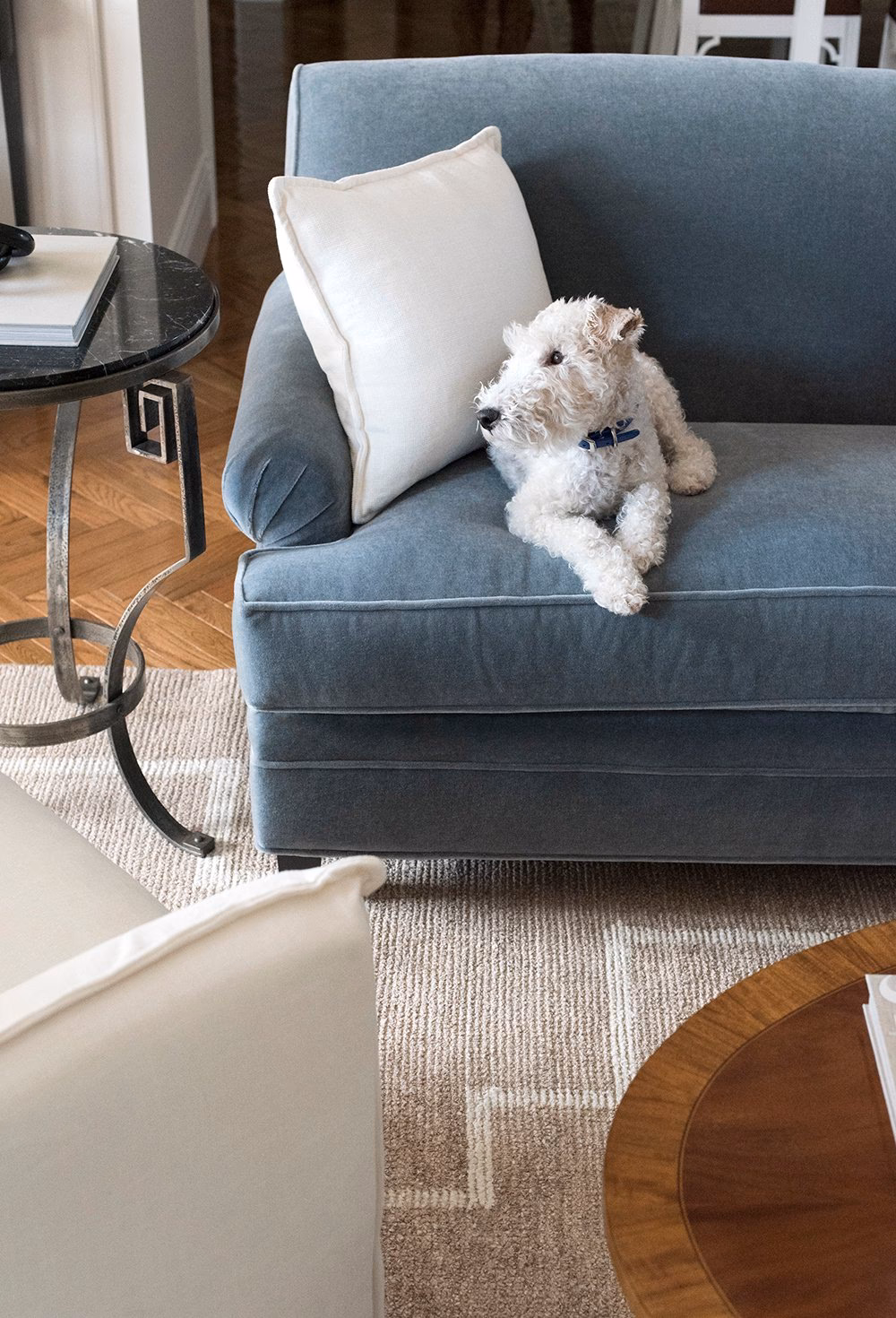 Are leather couches good for dogs and kids?