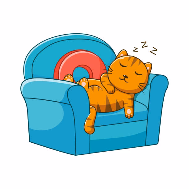 Why does my cat sleep on the sofa?