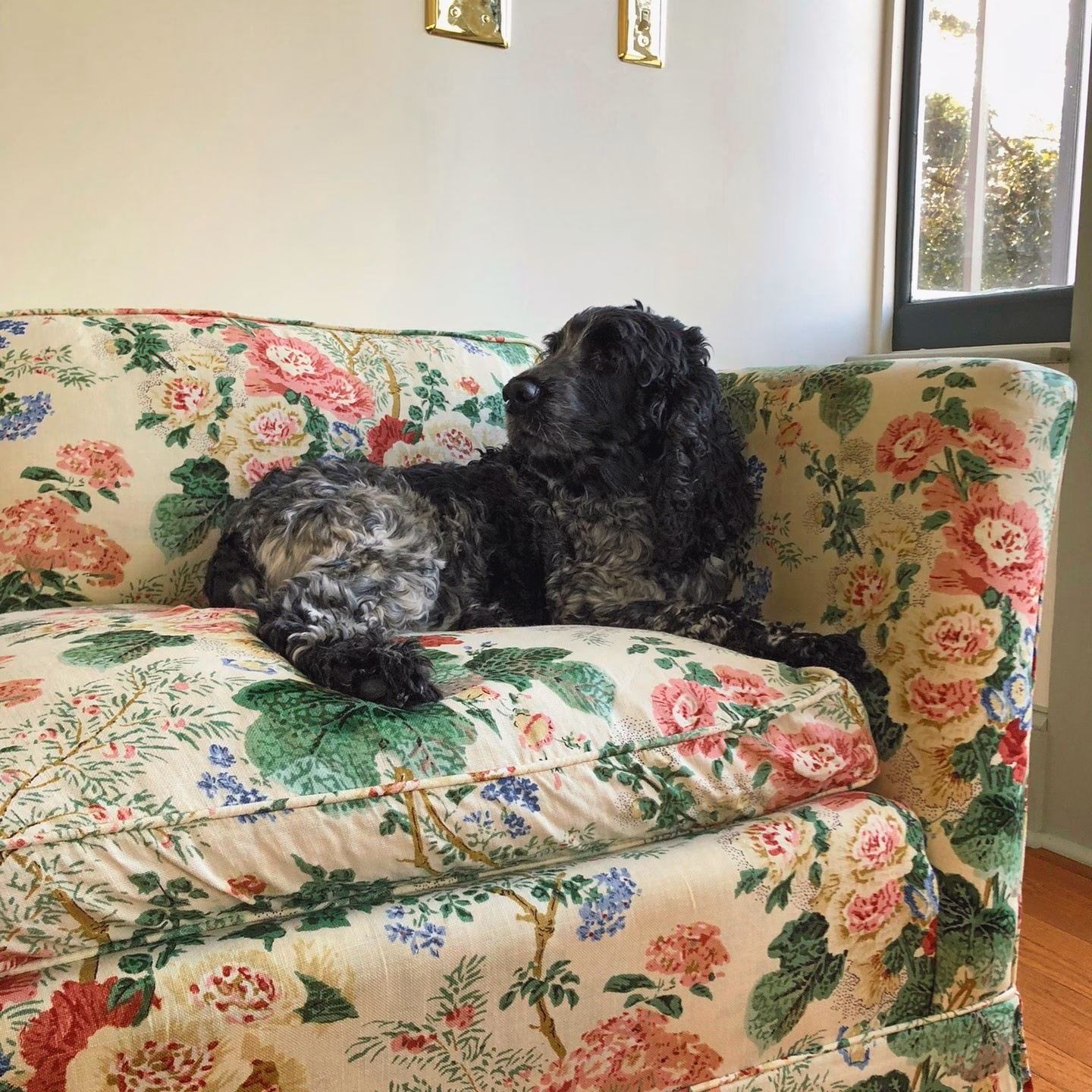 Is chintz coming back in style?