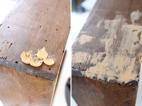 ¿Cómo eliminar el parásito de la carcoma?