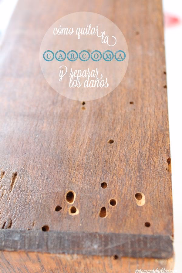 ¿Qué producto mata la carcoma?