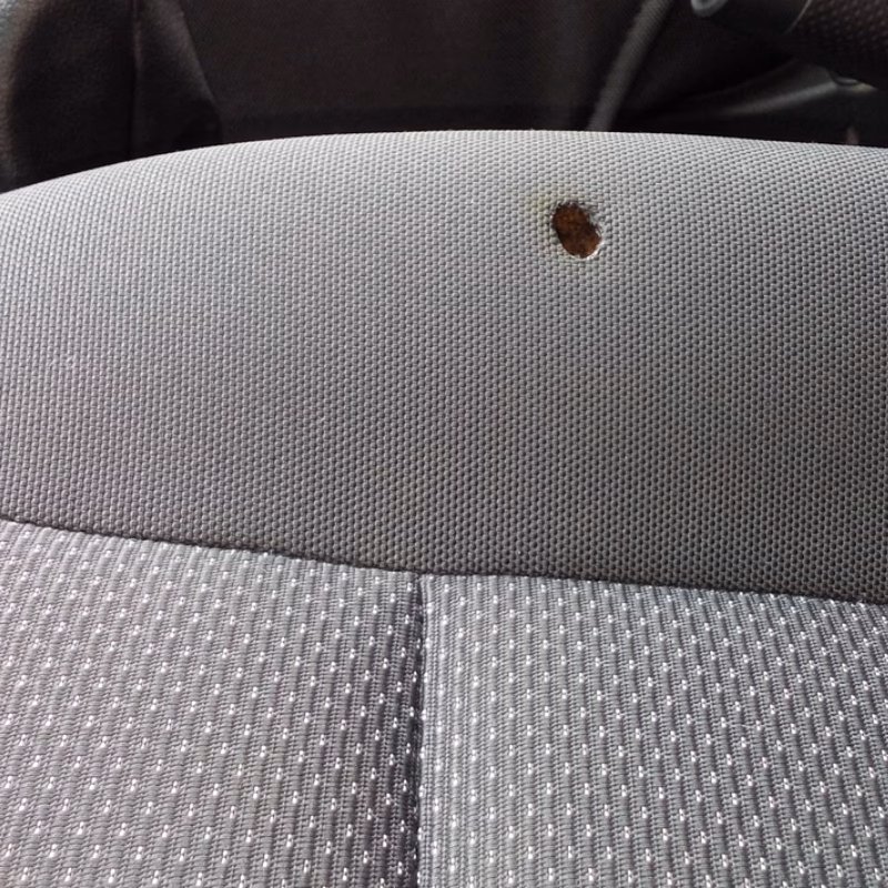 ¿Cómo quitar las marcas de quemaduras de un sofá?