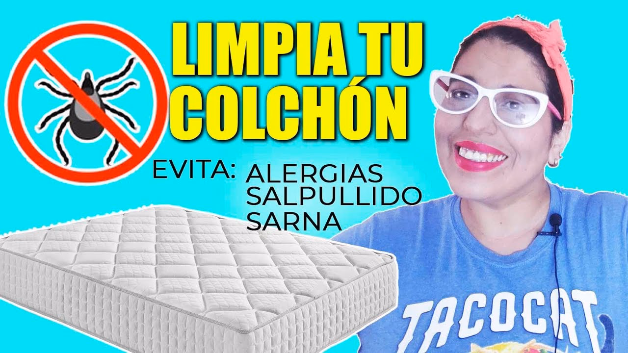 ¿Cuánto tiempo dura la sarna en un sofá?