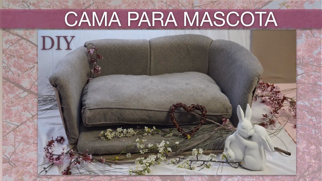 ¿Qué material no rompen los perros?