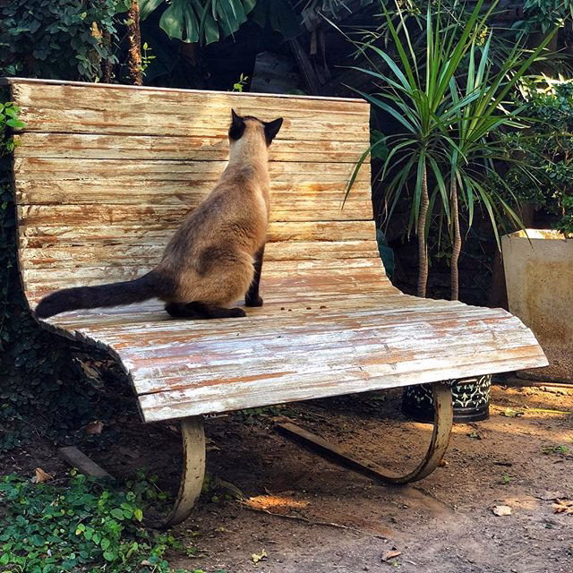 ¿Cuánto cuestan unas persianas enrollables?