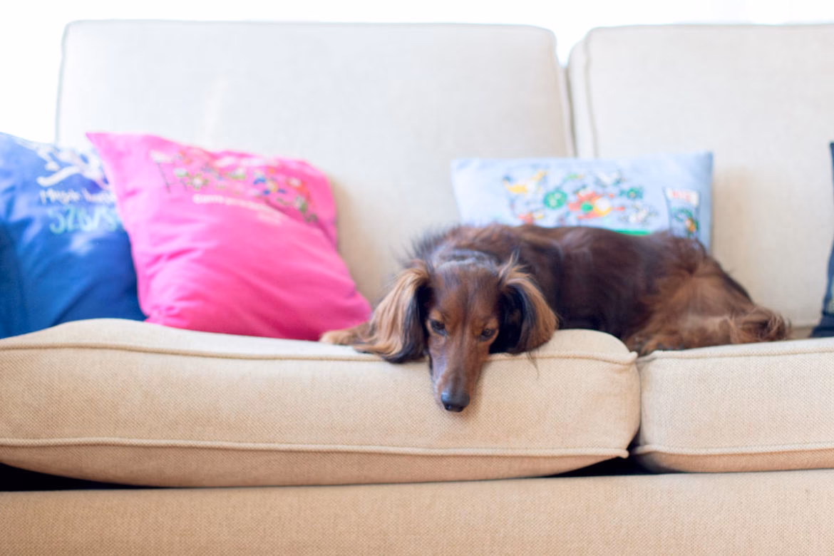 ¿Qué hacer con una almohada vieja?