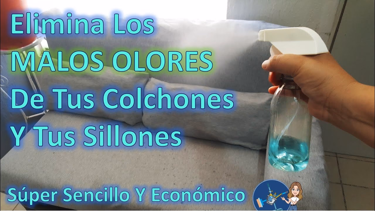 ¿Cómo quitar el mal olor de la tapicería?