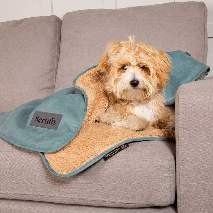 Why do people put blankets over couches?