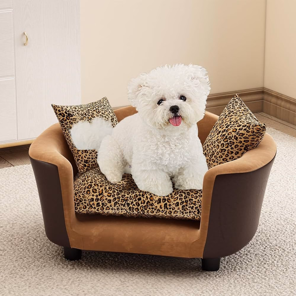 Do dogs prefer elevated dog beds?