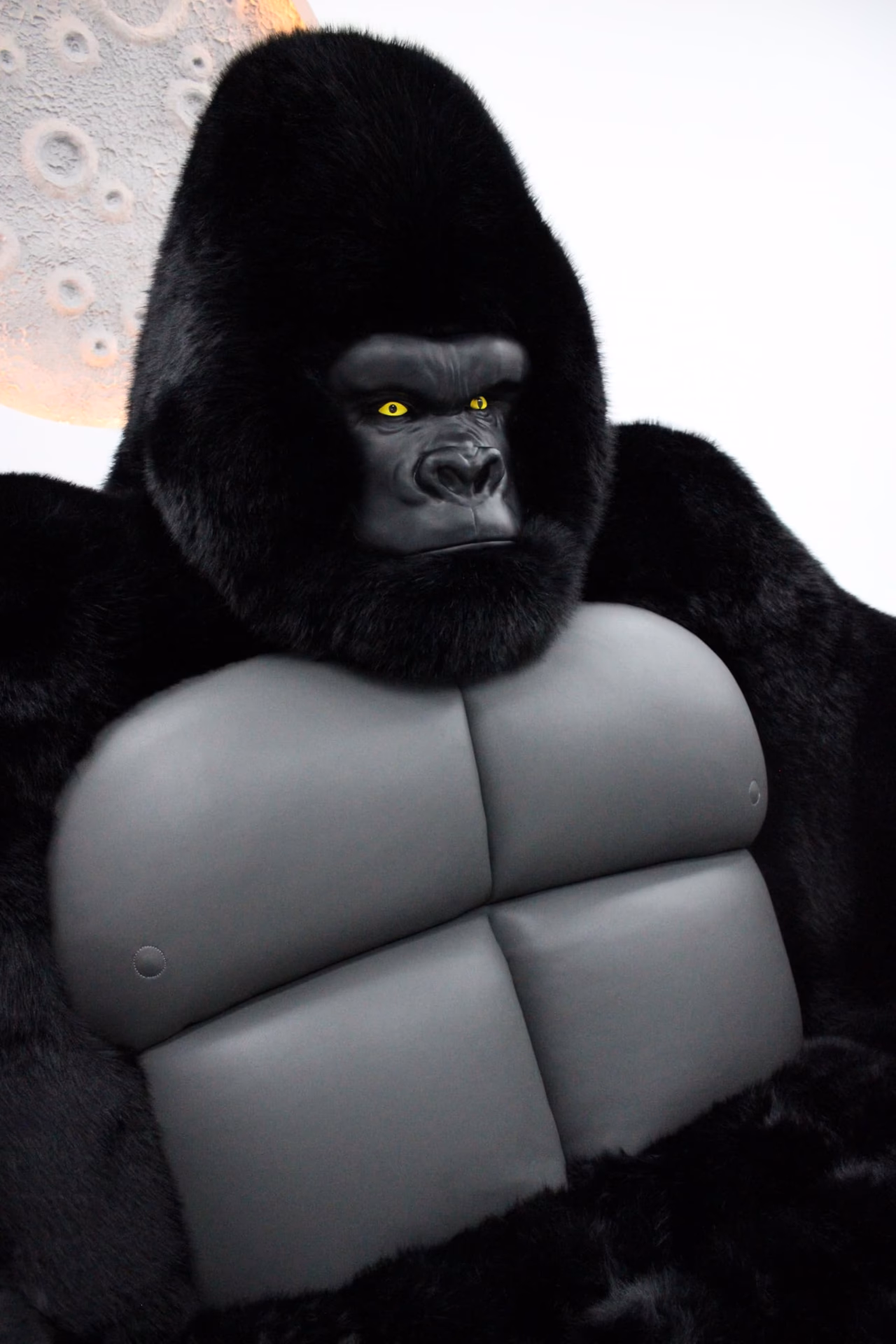 ¿Dónde vive el mono gorila?