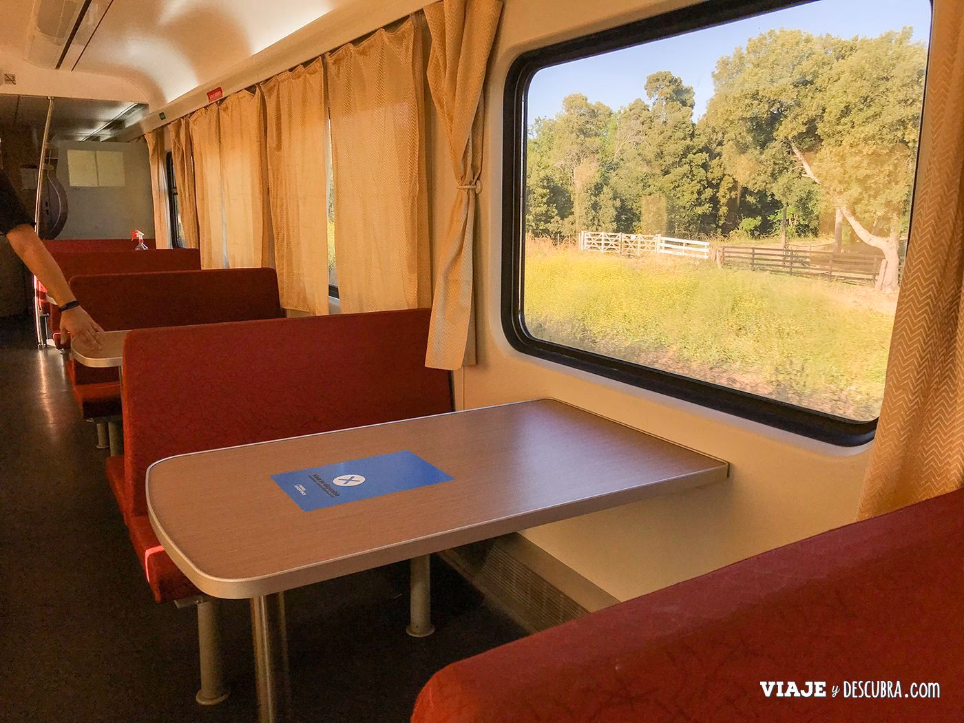 ¿Cuánto equipaje puedo llevar en tren a Mar del Plata?