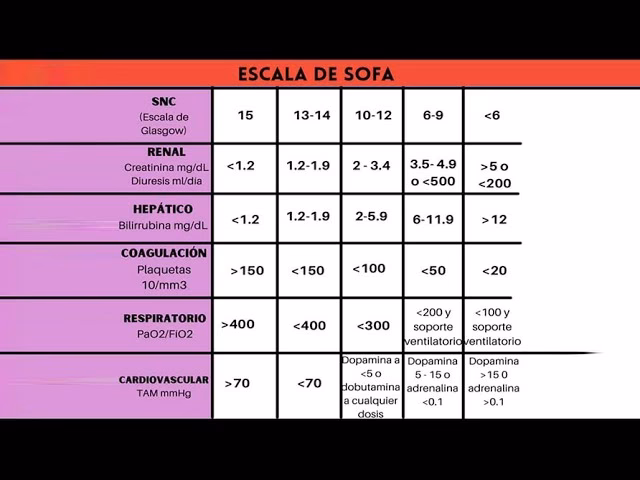 ¿Qué es la escala de SOFA?