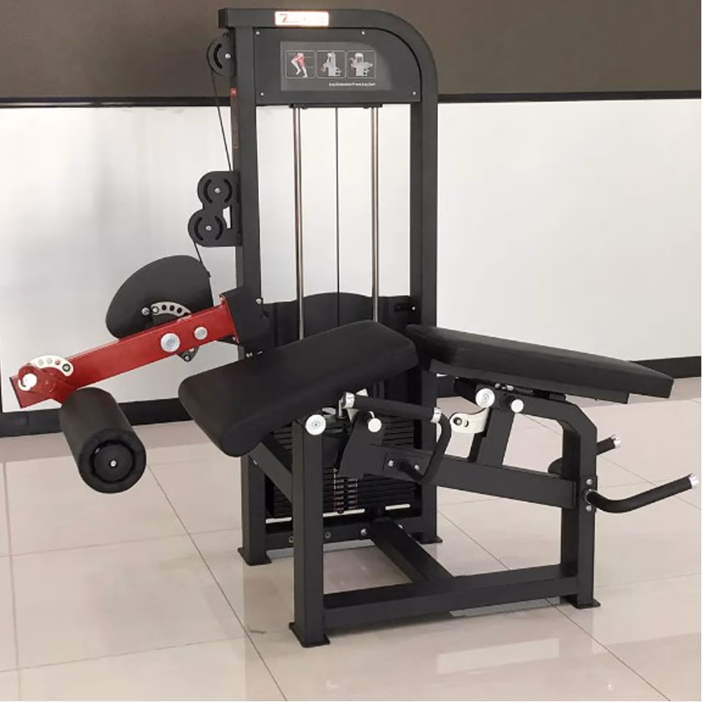 ¿Qué es la contracción excéntrica del cuádriceps?