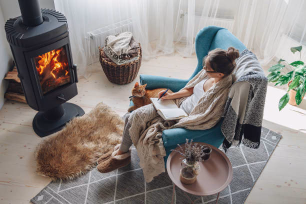 ¿Cuál es el tipo de estufa de leña más eficiente?