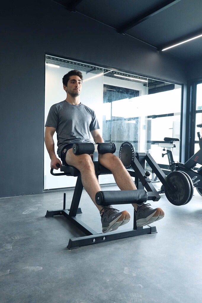 ¿Qué es flex en gimnasio?