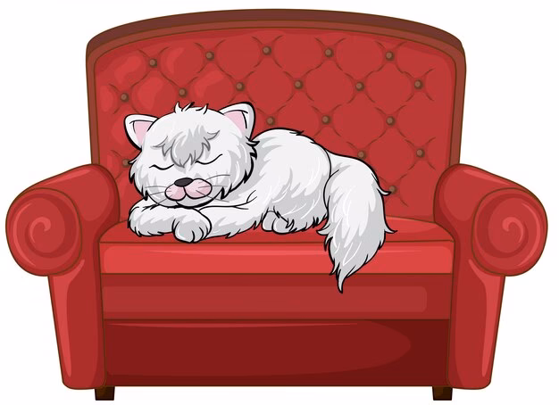 ¿Cómo limpiar meada de gato en el sofá?