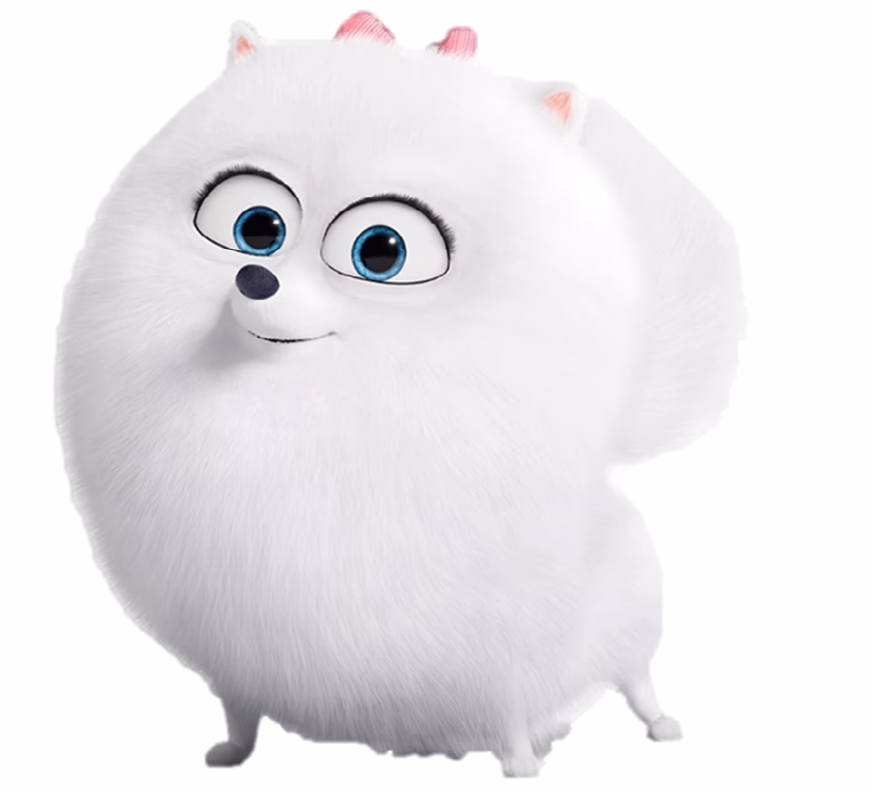 ¿Qué raza es Gidget de mascotas?