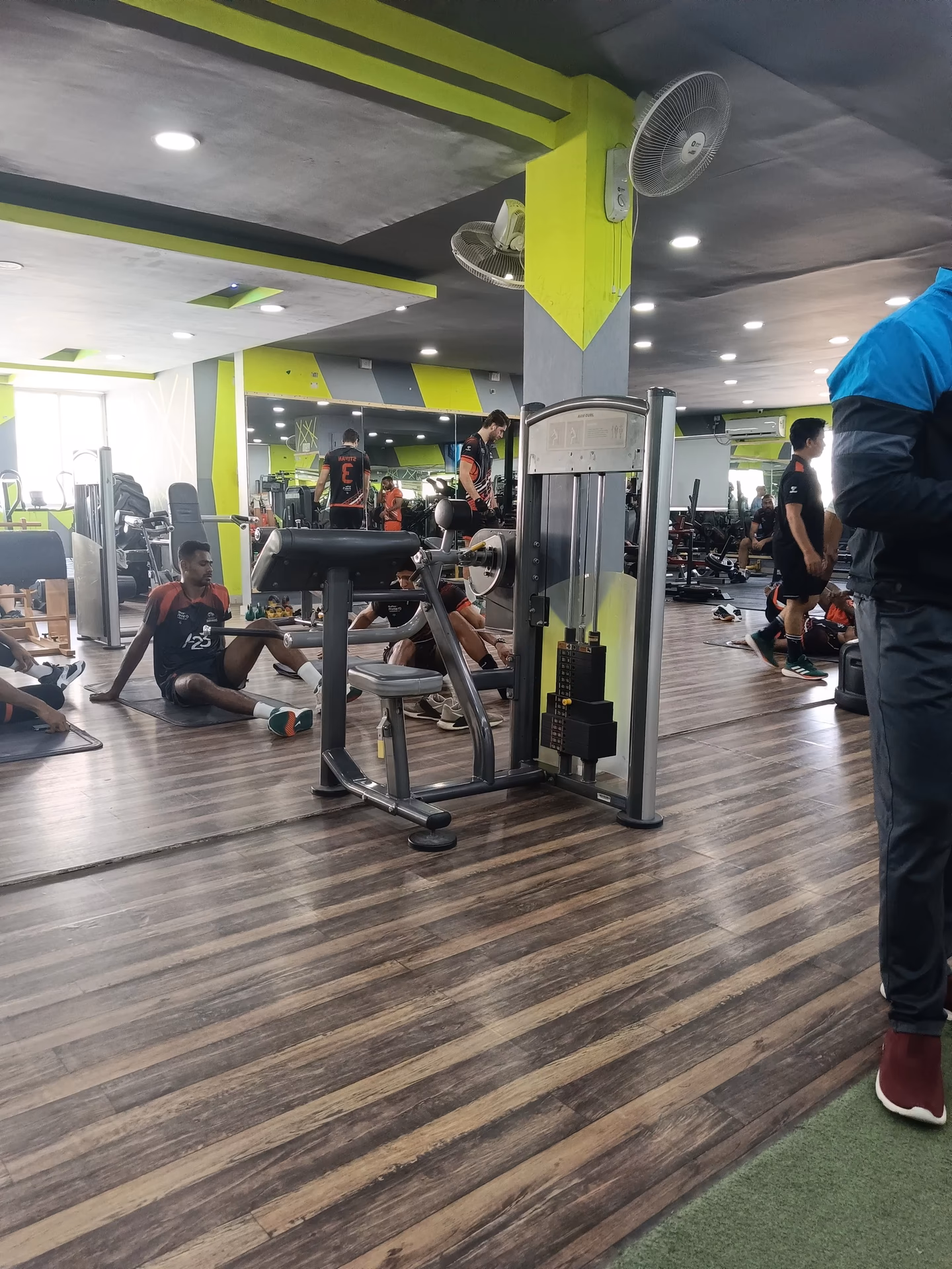 Is curd good for gym goers?