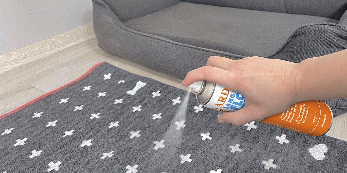 Was mögen Flöhe gar nicht?