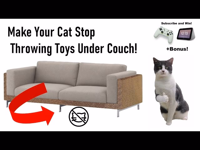How to keep a kitten off the couch?