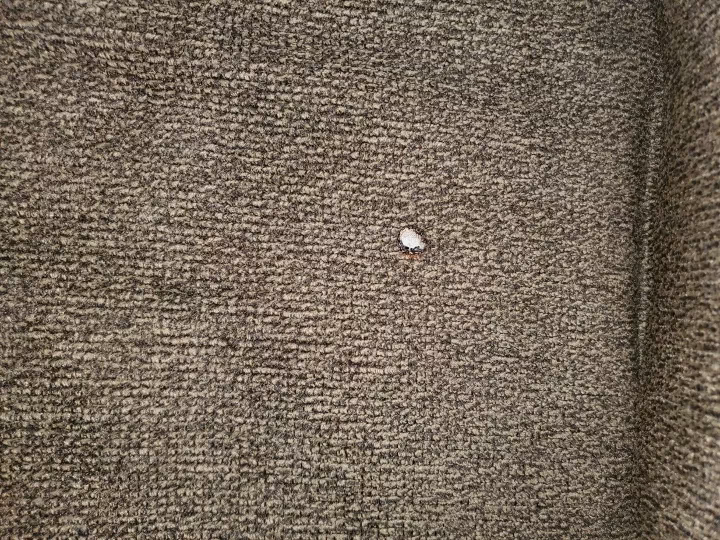 Can you repair a burn in fabric?