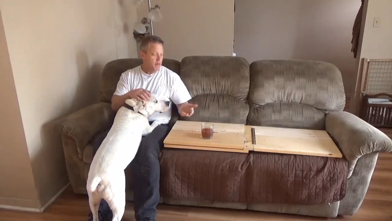 How to stop a dog from pooping on the couch?