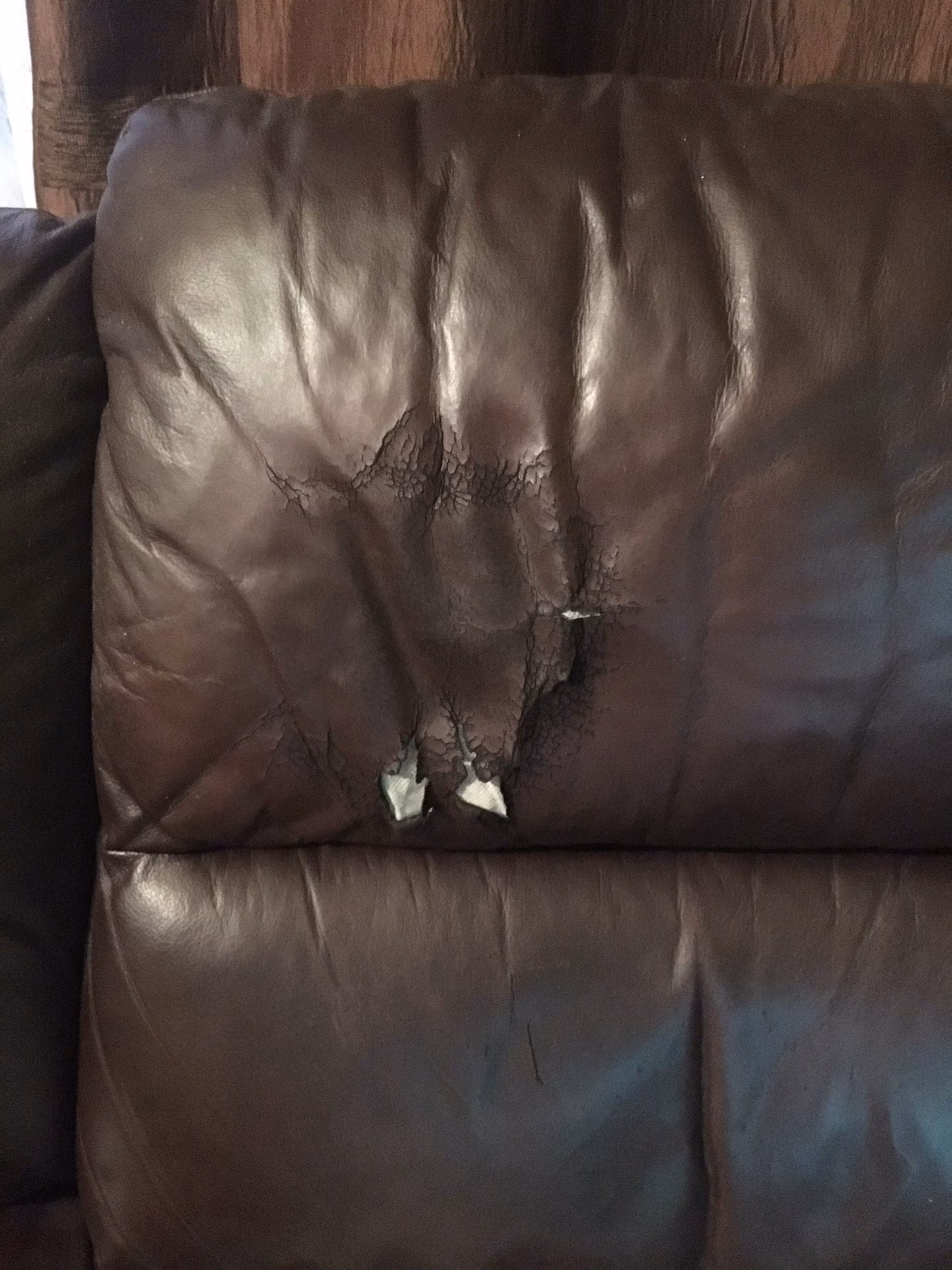 What is the best leather cleaner for sweat stains?