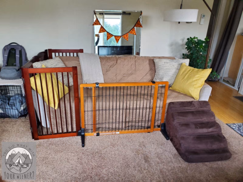 How do I get my puppy to stop jumping on the couch?