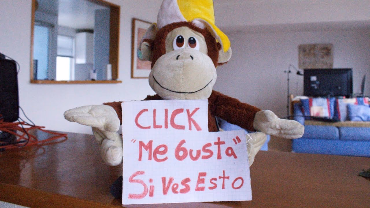 ¿Cómo contactar a Germán Garmendia?