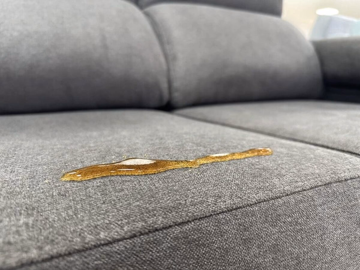 ¿Qué puedo poner en mi sofá para impermeabilizarlo?