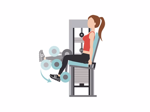 ¿Qué trabaja el sillón de isquios?