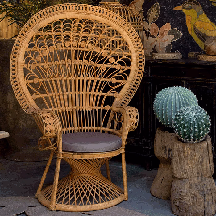 ¿Qué pasó con la maleta de Julio Iglesias?