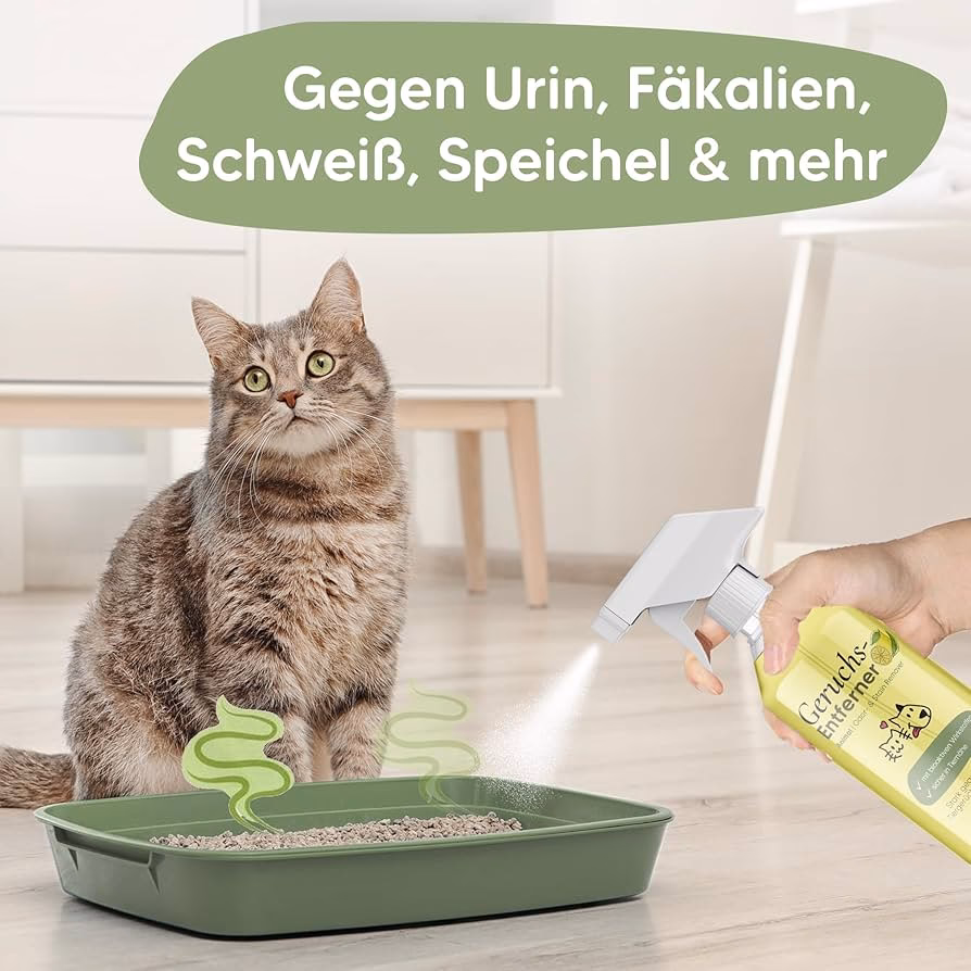 Wie kriegt man Katzenurin aus dem Sofa?
