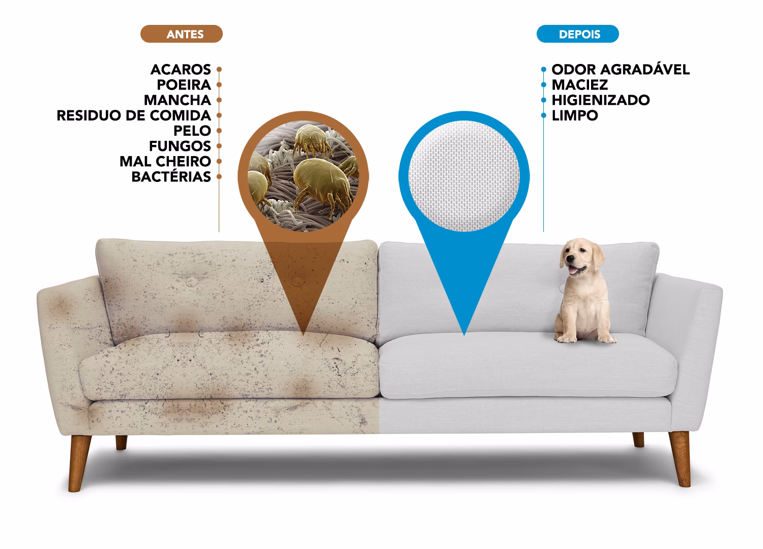 ¿Cómo eliminar los ácaros rápidamente?