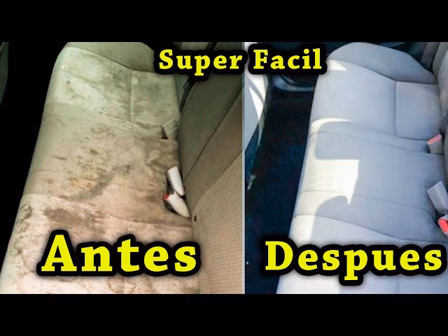 ¿Cuánto cuesta limpiar la tapicería del coche?
