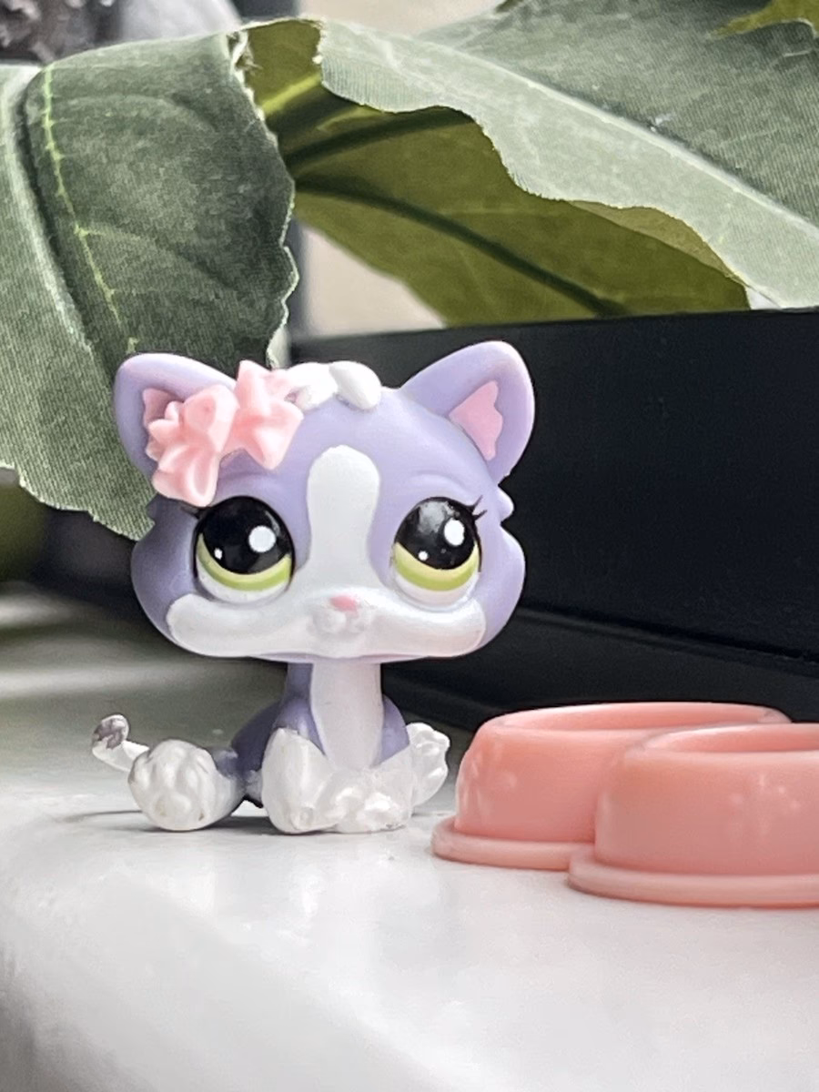 ¿Por qué eliminaron el juego Littlest Pet Shop?