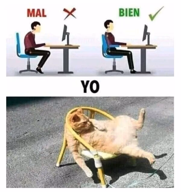 ¿Quién es la mujer del meme del gato?