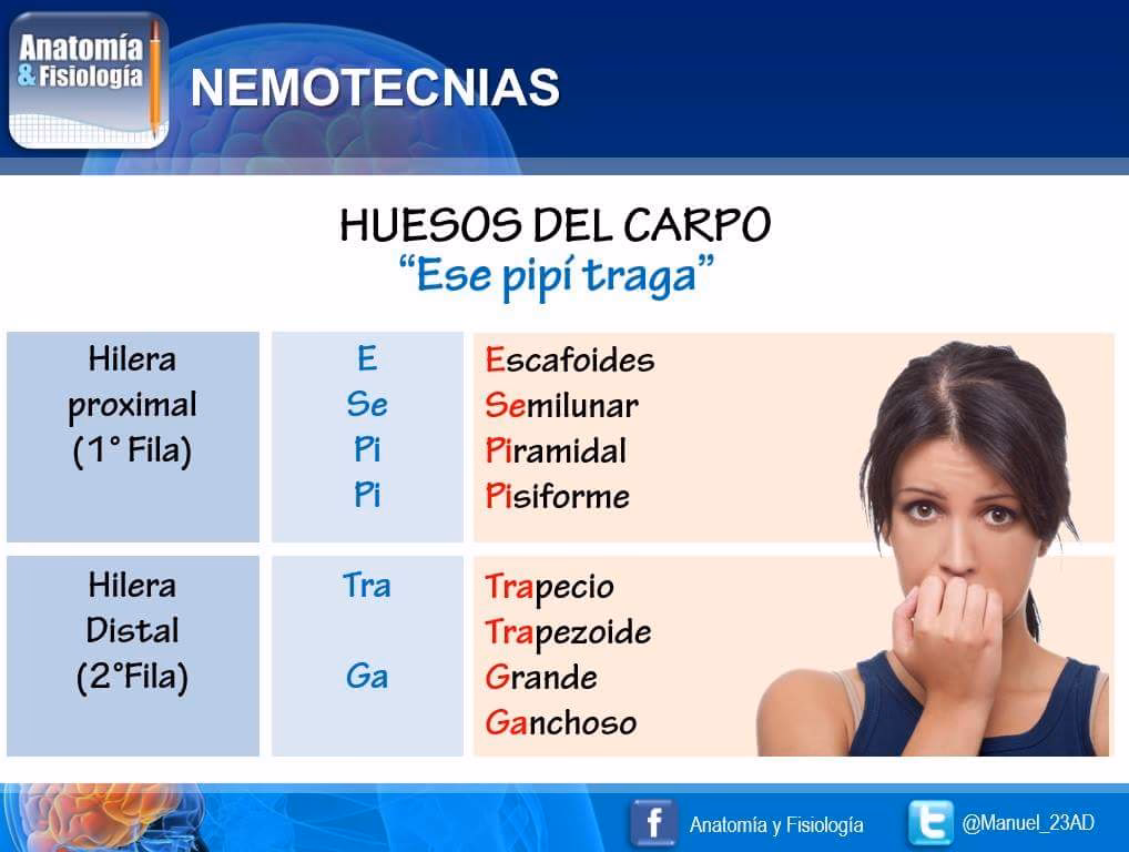 ¿Qué es mnemotecnia y ejemplos?