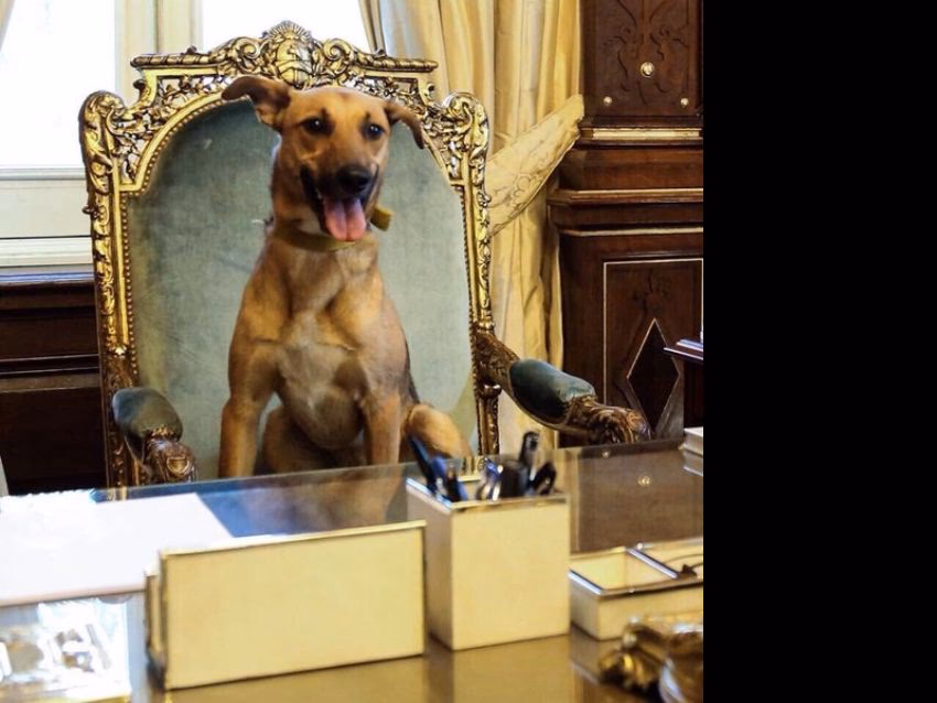 ¿Qué pasó con Balcarce?