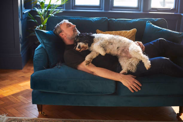 Where should pets sleep at night?