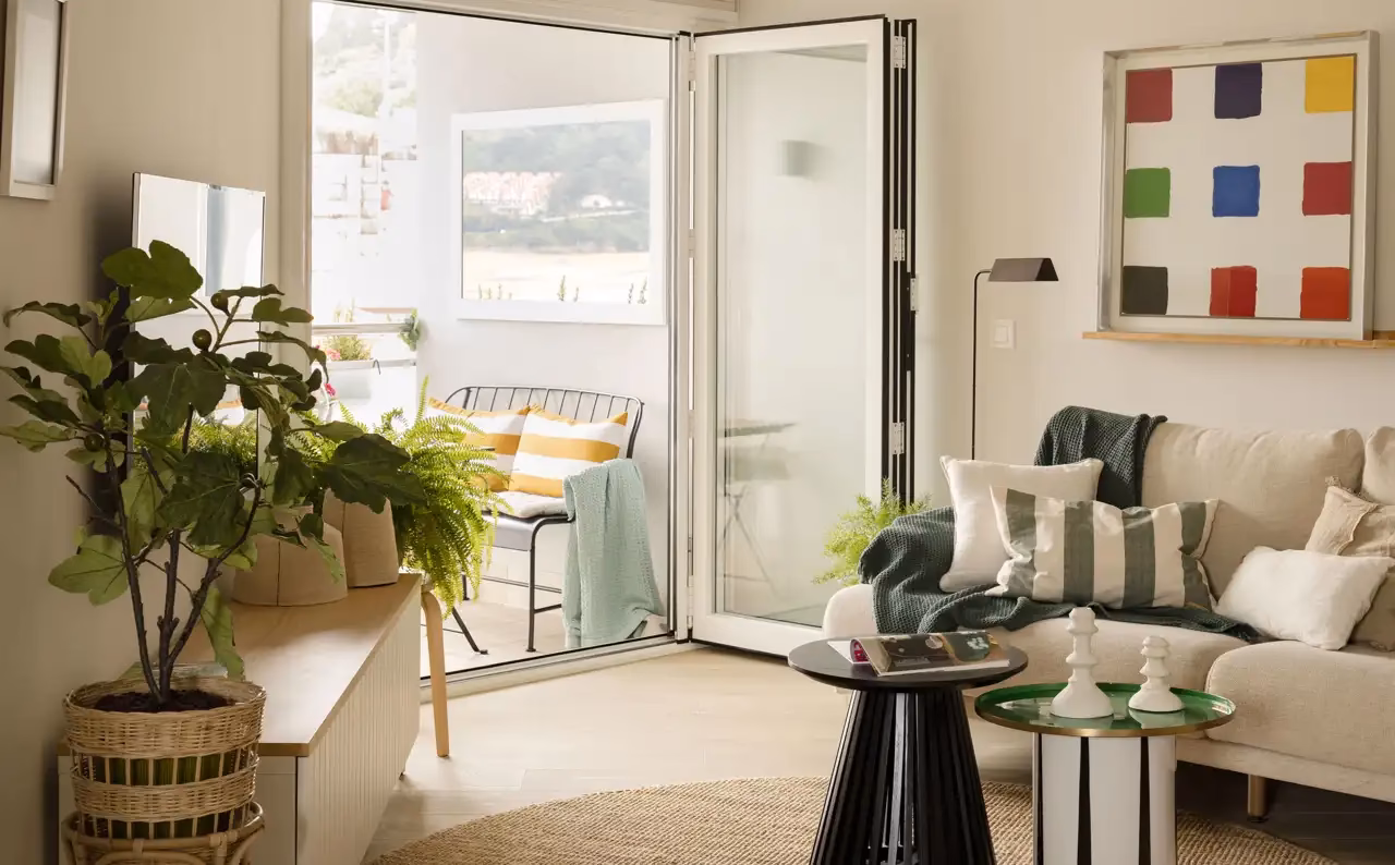 ¿Dónde poner la planta suculenta en casa?