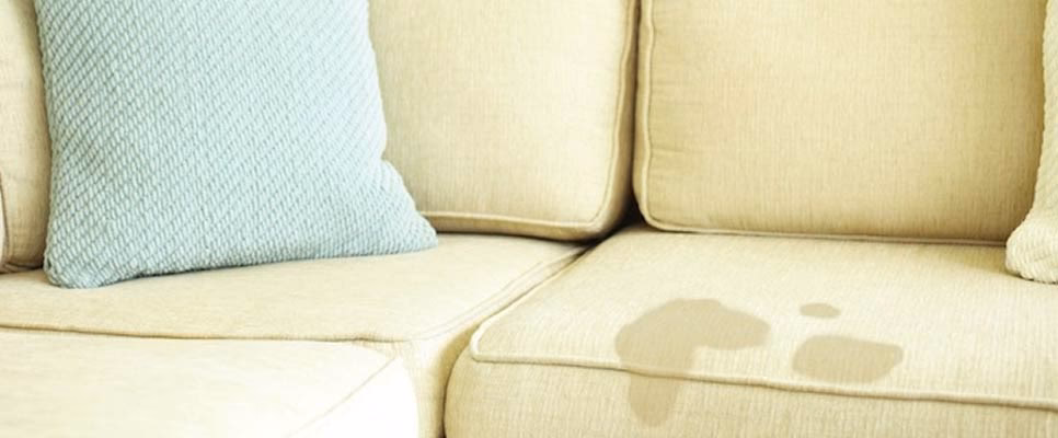 How to remove coffee stains from sofa fabric?