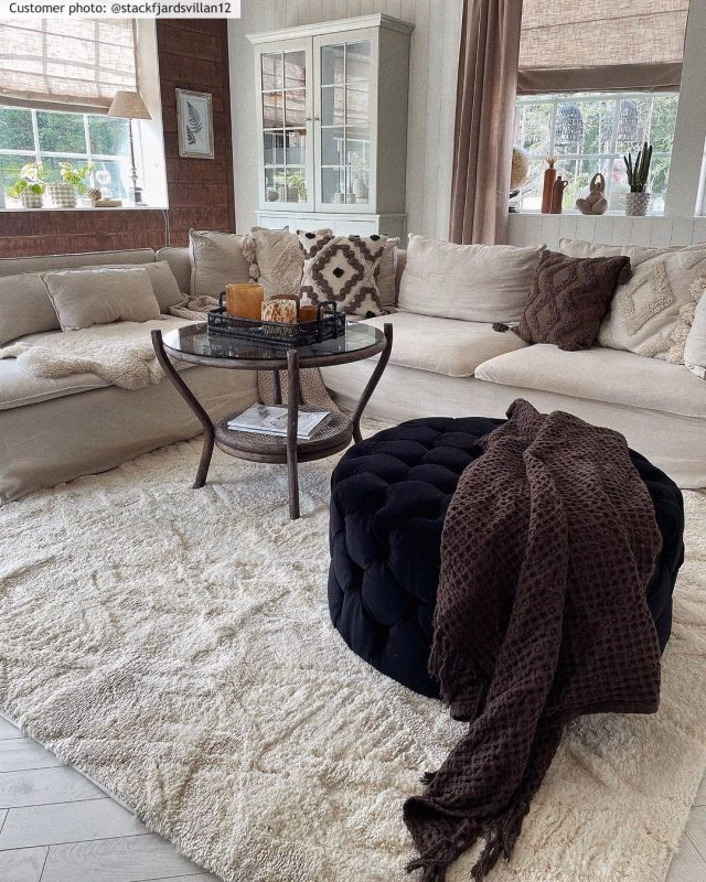 Should you put a rug under a sofa?