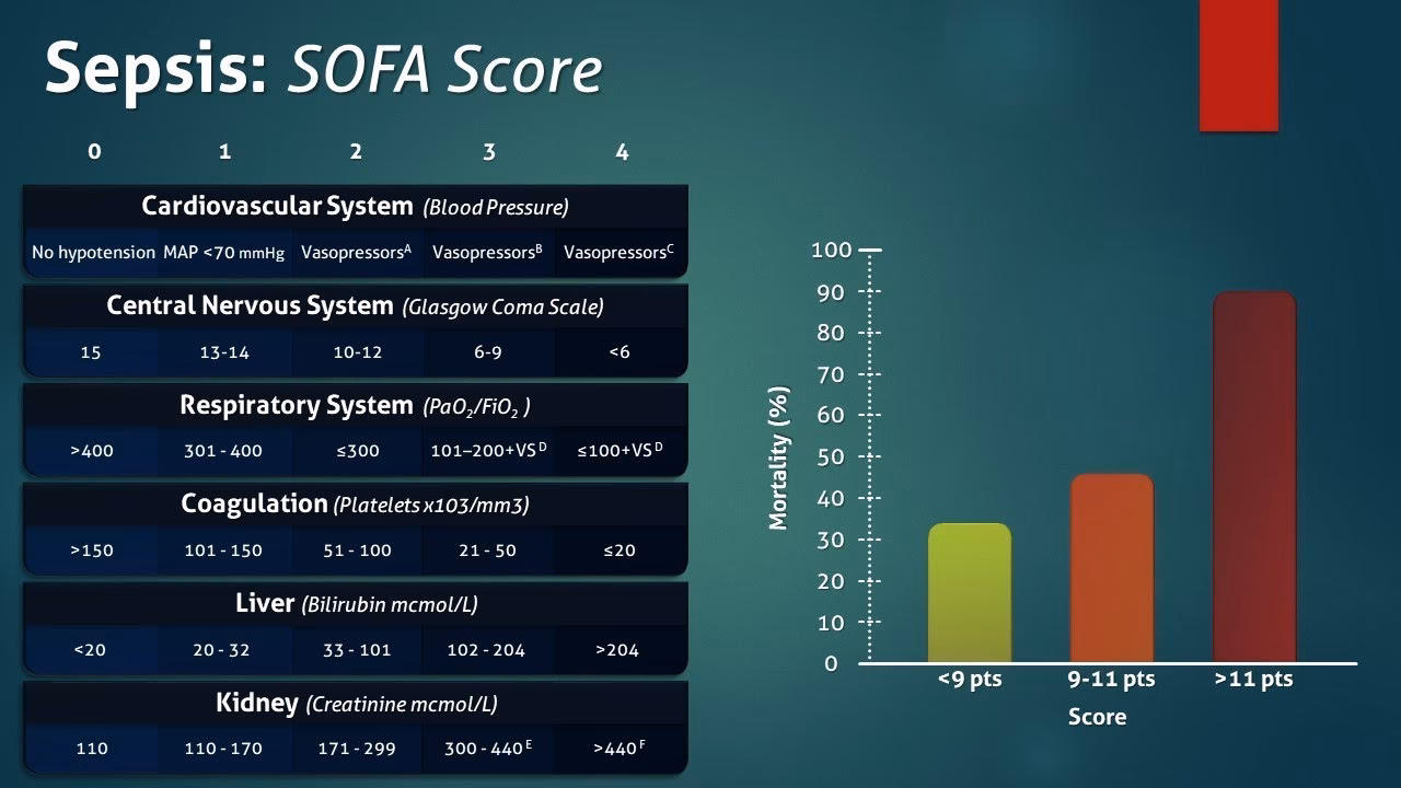 What is the score for neonatal sequential organ failure assessment?