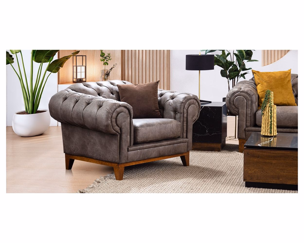 ¿Dónde debe estar la begonia?